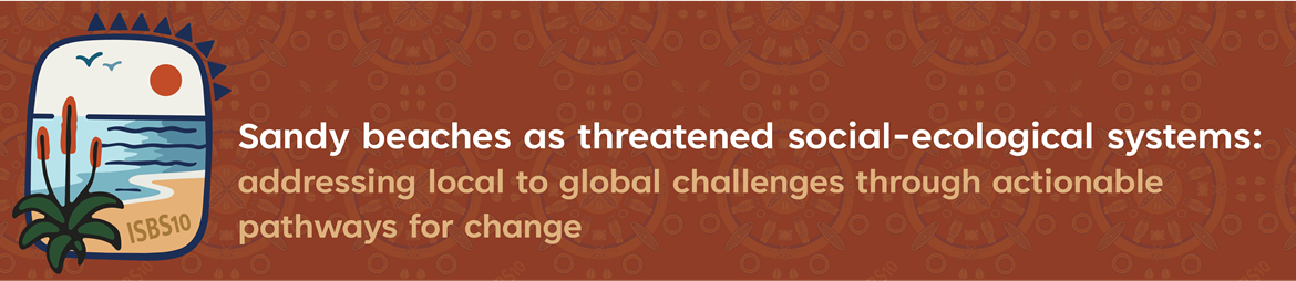 Sandy beaches as threatened social-ecological systems: addressing local to global challenges through actionable pathways for change